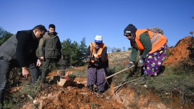 Balıkesir Orman Bölge Müdürlüğü öncülüğünde Alaçam Dağları’ndaki ormanlara kadın eliyle