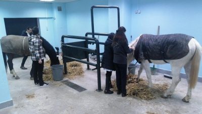 BAÜN öğrencileri için yeni bir hamle daha gerçekleştirdi. Veteriner Fakültesi’nde