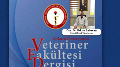 Balıkesir Üniversitesi (BAÜN) bir uluslar arası yayına daha imza atarak