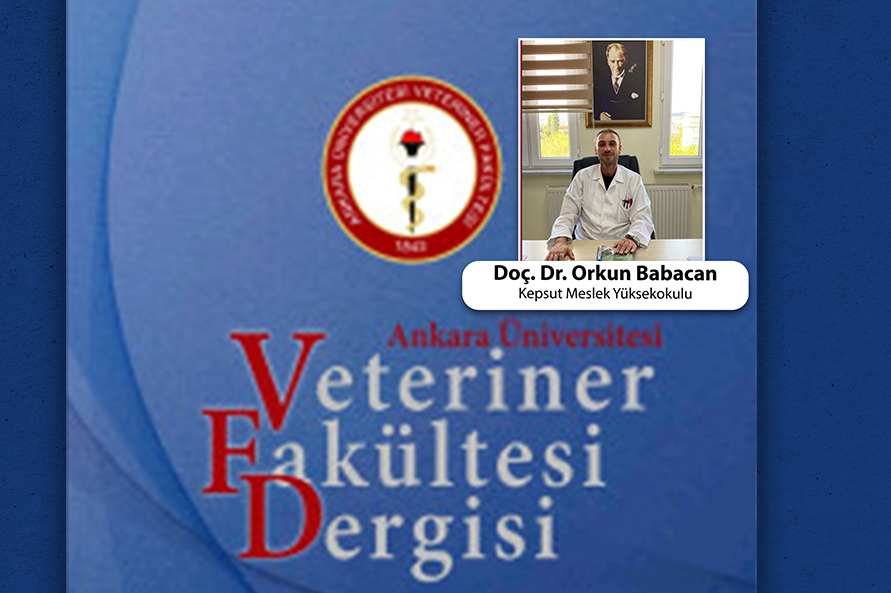 BAÜN imzalı bir uluslararası yayın daha Balıkesir Üniversitesi (BAÜN) bir uluslar arası yayına daha imza atarak