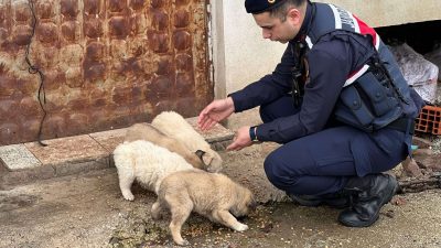 Balıkesir İl Jandarma Komutanlığı ekipleri il genelinde olumsuz hava koşullarında