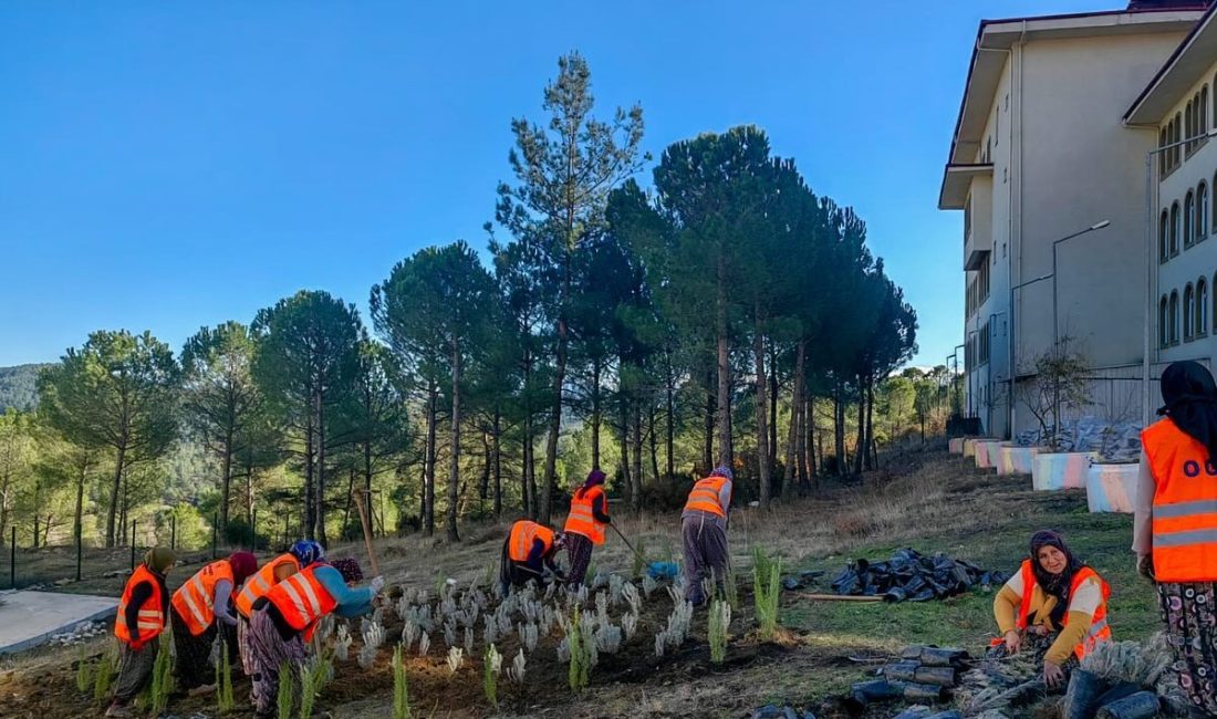 Dursunbey’de okul bahçeleri fidanlarla güzelleşecek Balıkesir Orman Bölge Müdürlüğü tarafından Dursunbey’de okul bahçesine bin 299
