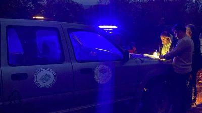 Edremit’te yasadışı kirpi avlarken yakalanan 6 şahıs Jandarma tarafından suçüstü