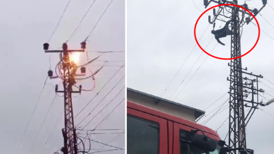 Hatay’ın Kumlu ilçesinde akli dengesi yerinde olmayan bir kişi, elektrik