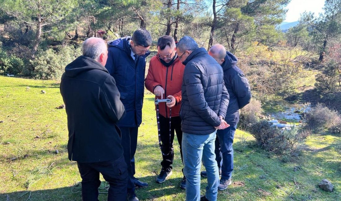 Havranlı yetiştiriciler için Balıkesir Büyükşehir Belediyesi desteğiyle “Yerli Boz Irk