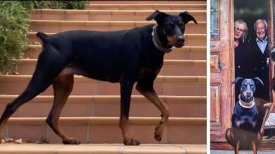 Gönen’de tatil için gittiği yazlık evinden, köpeği Tina ile yürüyüş