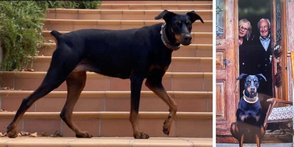 Gönen’de tatil için gittiği yazlık evinden, köpeği Tina ile yürüyüş