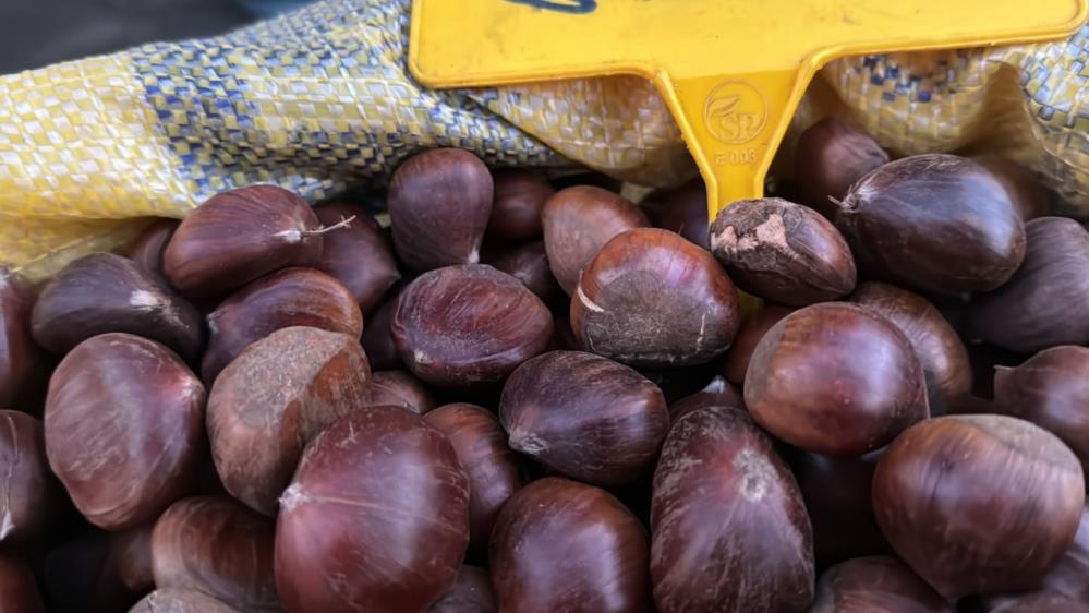 Kestane pişirmenin püf noktaları Düzce’de ormanlarda yetişen ve “Düzce kuzusu” olarak bilinen kestane tezgahları