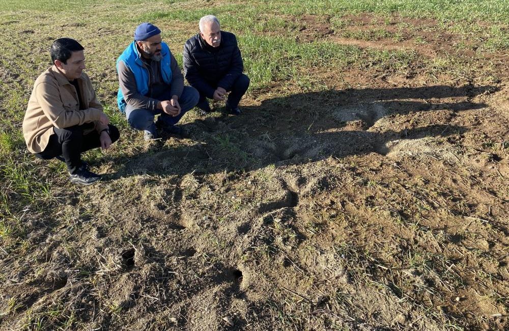 Tarım başkenti olarak bilinen Konya Ovasında geciken yağışlar nedeniyle bölgesel