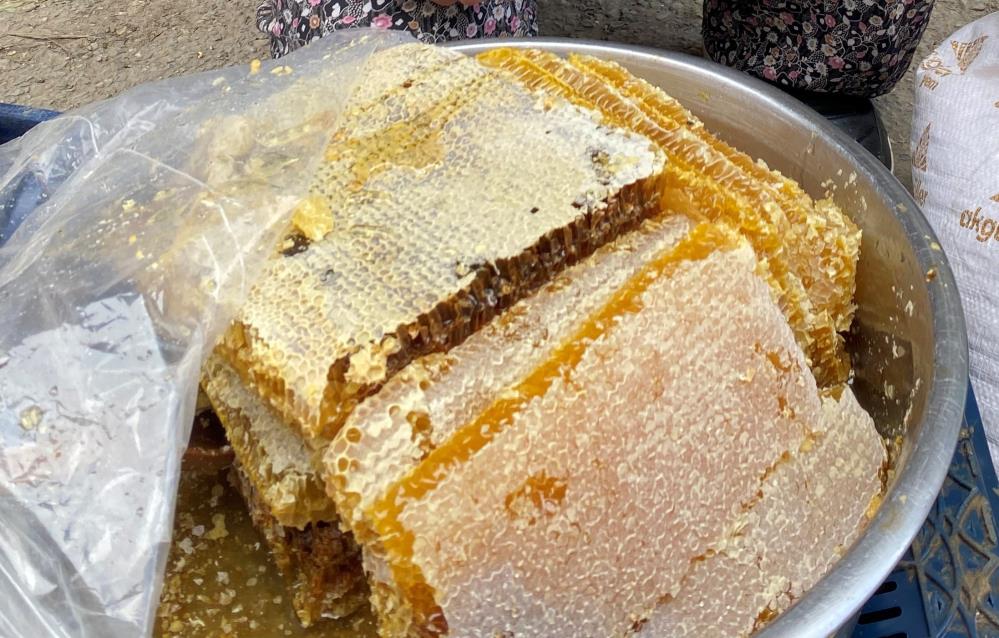 Manisa’nın Alaşehir ilçesinde geçen yıla göre bal rekoltesinde yaşanan düşüş