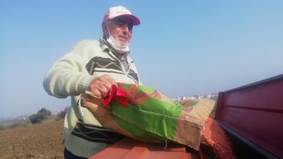 Manyaslı çiftçiler ılık geçen havaları fırsat bilerek tohumları toprakla buluşturdu.Manyas’ta