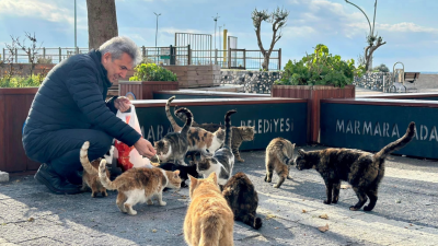 Marmara Adalar Belediyesi kış aylarında karnını doyuramayan sokak hayvanlarına mama
