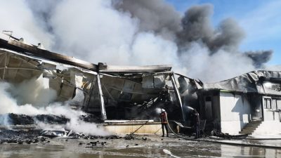 Mersin’in Tarsus ilçesinde bir narenciye paketleme tesisinde yangın çıktı, sevk