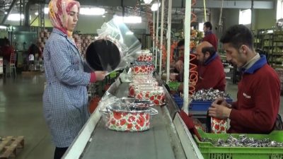 Sabit fiyatlarla perakende satış hacmi 2023 yılı Kasım ayında bir