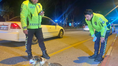 Antalya’da devriye halindeki trafik polisleri, yolun karşısına geçmeye çalışan ve