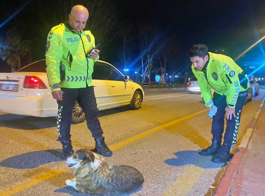Antalya’da devriye halindeki trafik polisleri, yolun karşısına geçmeye çalışan ve
