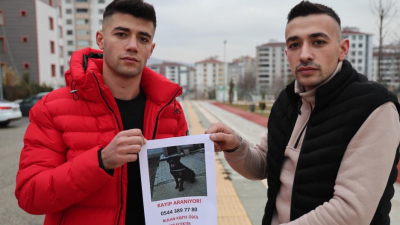 Elazığ’da kaybolan köpeğini sokak sokak gezerek arayan Mahmut Gecekuşu, köpeğini
