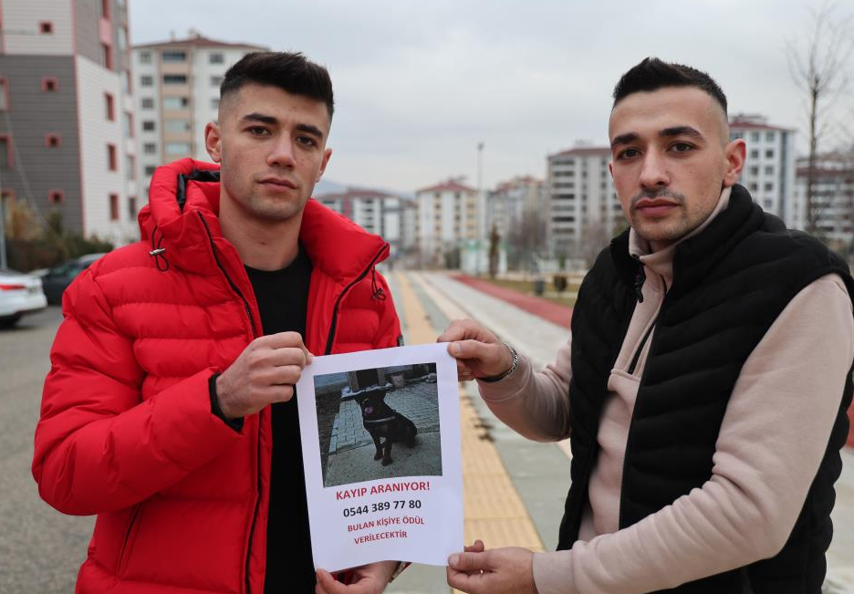 Elazığ’da kaybolan köpeğini sokak sokak gezerek arayan Mahmut Gecekuşu, köpeğini
