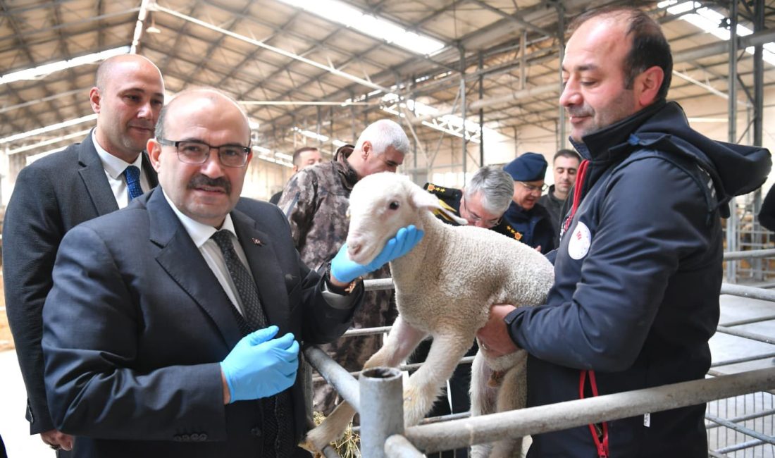 Vali Ustaoğlu, Bandırma’da Merinos’u ziyaret etti Balıkesir Valisi İsmail Ustaoğlu, halk arasında Merinos olarak bilinen Bandırma