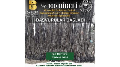 Üreticilere yüzde yüz hibeli ceviz ve badem fidanı dağıtılacak. Balıkesir