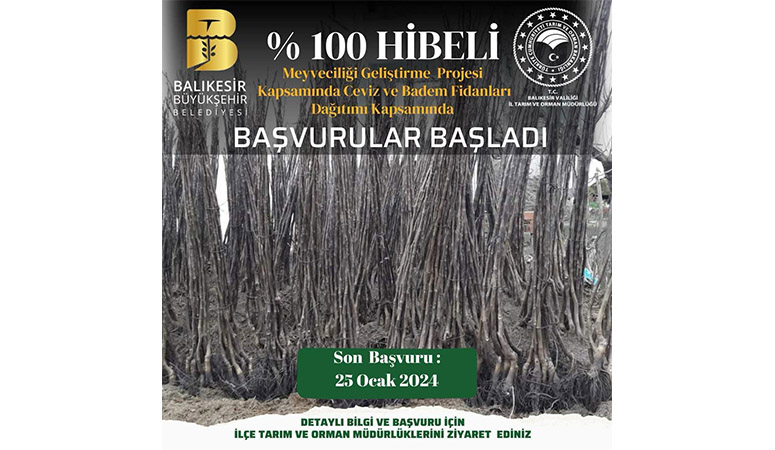 Üreticilere yüzde yüz hibeli ceviz ve badem fidanı dağıtılacak. Balıkesir
