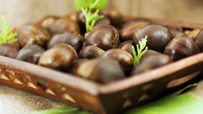 Yaşar Üniversitesi Gastronomi ve Mutfak Sanatları Bölüm Başkanı Prof. Dr.