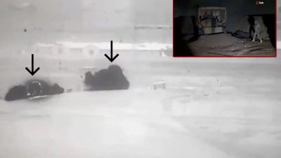 Milli Savunma Bakanlığı (MSB), Suriye kuzeyindeki 12 kişilik bir terörist