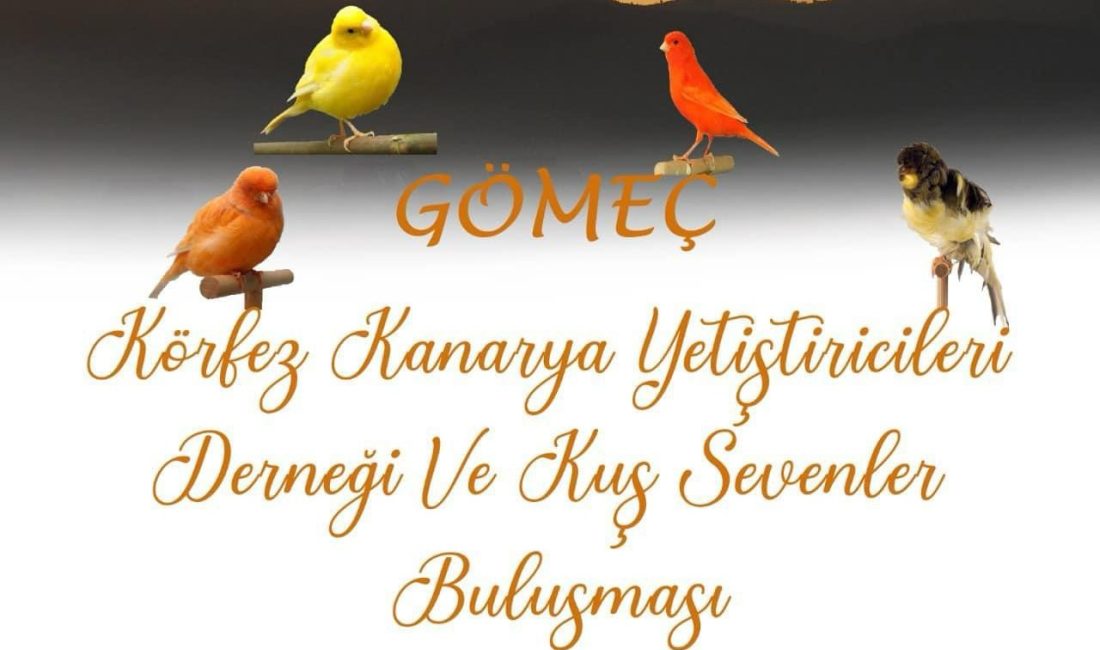 Kuşsevenler Gömeç’te buluşacak Gömeç’te kuşsevenler Nuri Bozyel Kültür Merkezi’nde buluşacak. Gömeç Belediyesi, Körfez