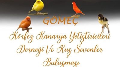Gömeç’te kuşsevenler Nuri Bozyel Kültür Merkezi’nde buluşacak. Gömeç Belediyesi, Körfez