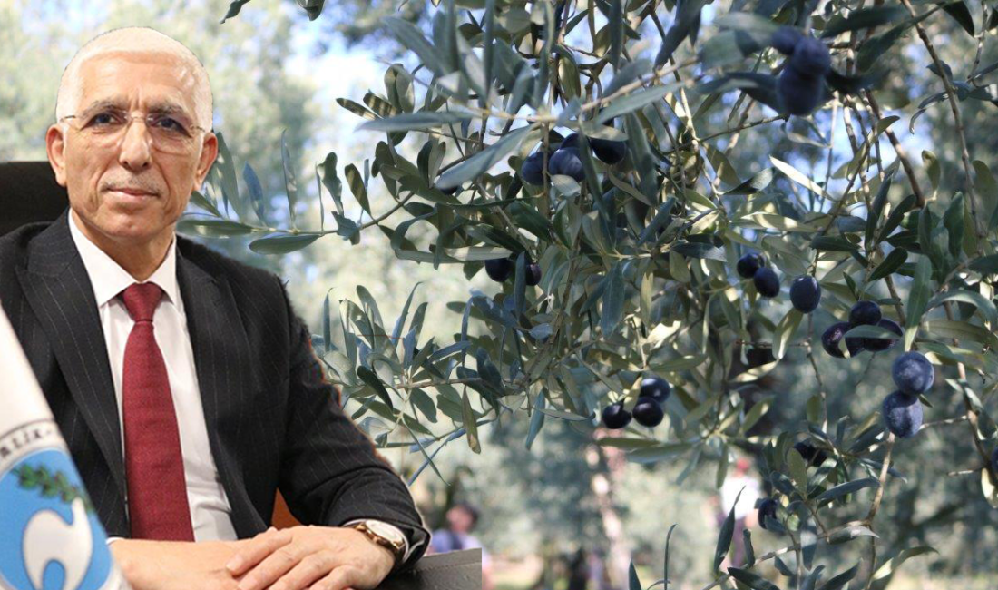 Başkan Hidamet Asa, ortaklarına yaptıkları ödemeler konusunda bilgi vererek, “650