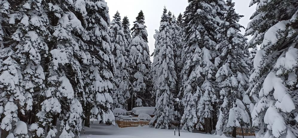 Türkiye’nin önemli kış ve doğa turizm merkezlerinden Uludağ’da kar kalınlığı