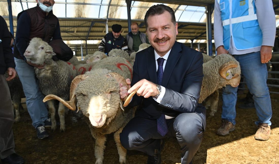 Balıkesir Büyükşehir Belediyesi, Savaştepe ilçesinin tarım ve hayvancılık sektöründeki gelişimine