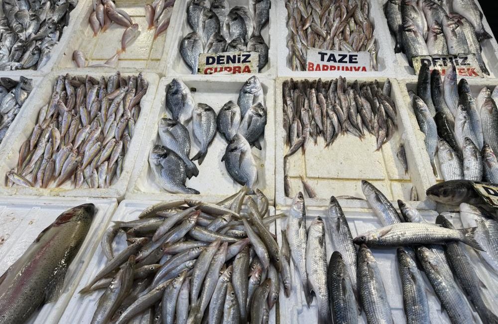 &nbsp;Karataş Su Ürünleri Kooperatifi Başkanı Celal Safsoylu, Adana’nın Karataş açıklarından