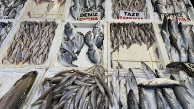 &nbsp;Karataş Su Ürünleri Kooperatifi Başkanı Celal Safsoylu, Adana’nın Karataş açıklarından
