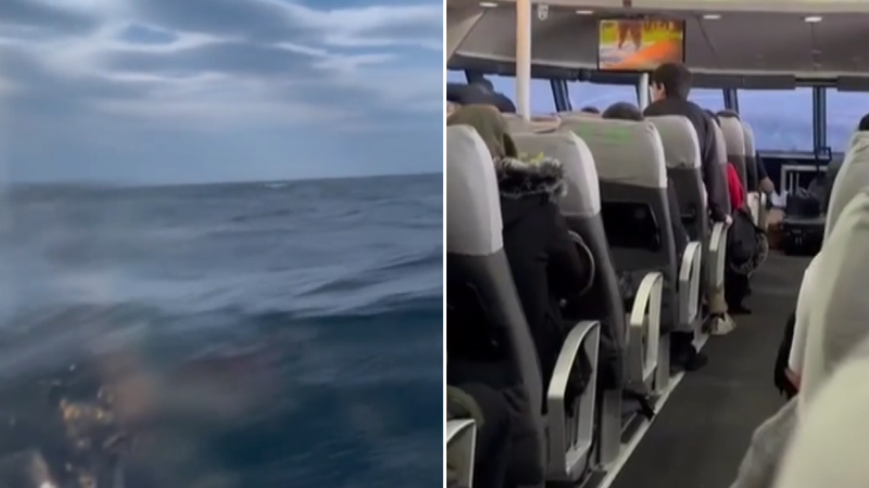 Bursa’da deniz otobüsünde korku dolu anlar İstanbul-Bursa arası ulaşımı sağlayan deniz otobüsü, şiddetli rüzgar sonrası çıkan