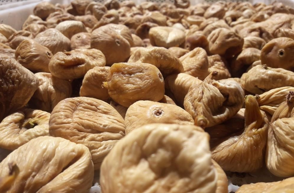 Türkiye’nin önemli ihracat ürünlerinden olan ve ülke ekonomisine ciddi katkı
