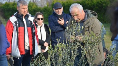 Burhaniye ilçesinde, Balıkesir Çiftçi Eğitim Merkezindeki(BAÇEM) 3. Zeytin Yetiştiriciliği kursu
