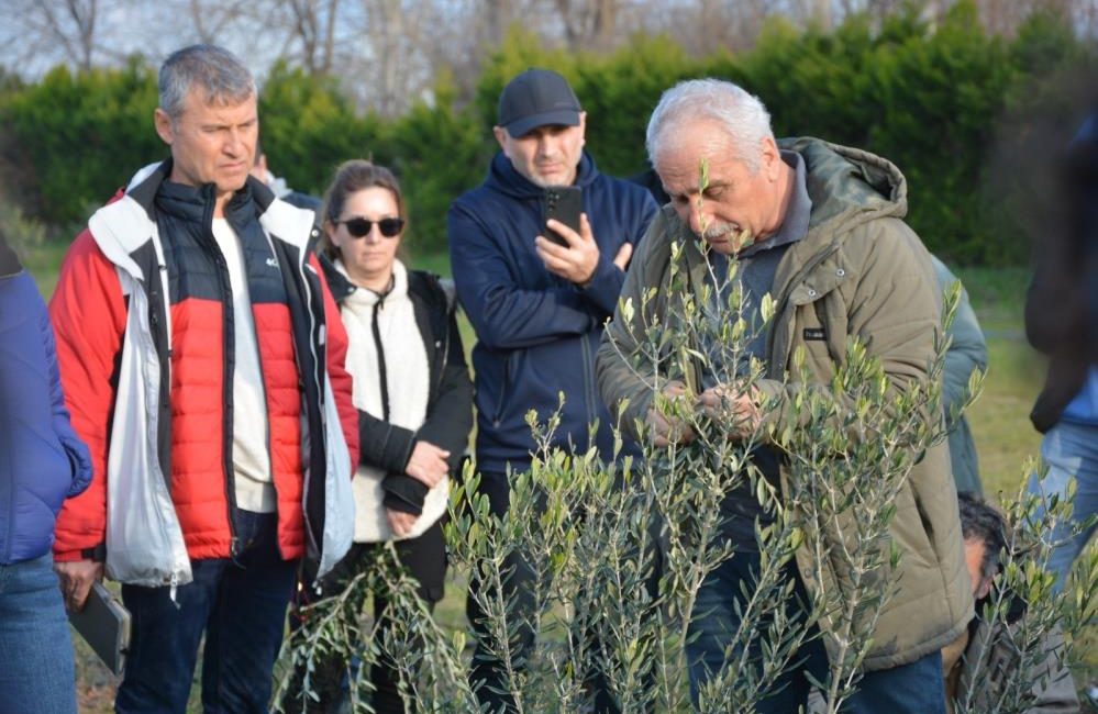 Burhaniye ilçesinde, Balıkesir Çiftçi Eğitim Merkezindeki(BAÇEM) 3. Zeytin Yetiştiriciliği kursu