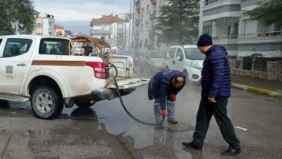 Altıeylül’de halk sağlığının korunması amacıyla yaz ayında artış gösteren haşere