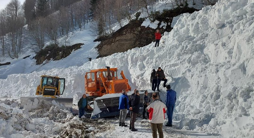 Artvin’in Borçka ilçesinde 6 köyün bağlı olduğu Camili bölgesinde yol