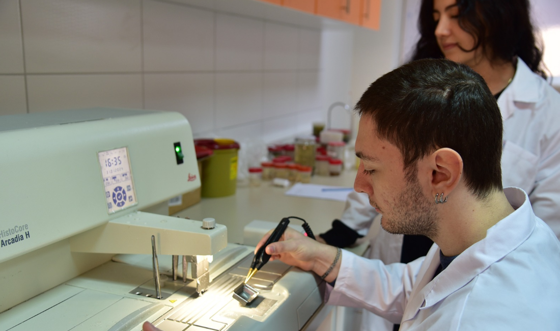 Balıkesir Üniversitesi (BAÜN) Veteriner Teşhis ve Analiz Laboratuvarı, Tarım ve