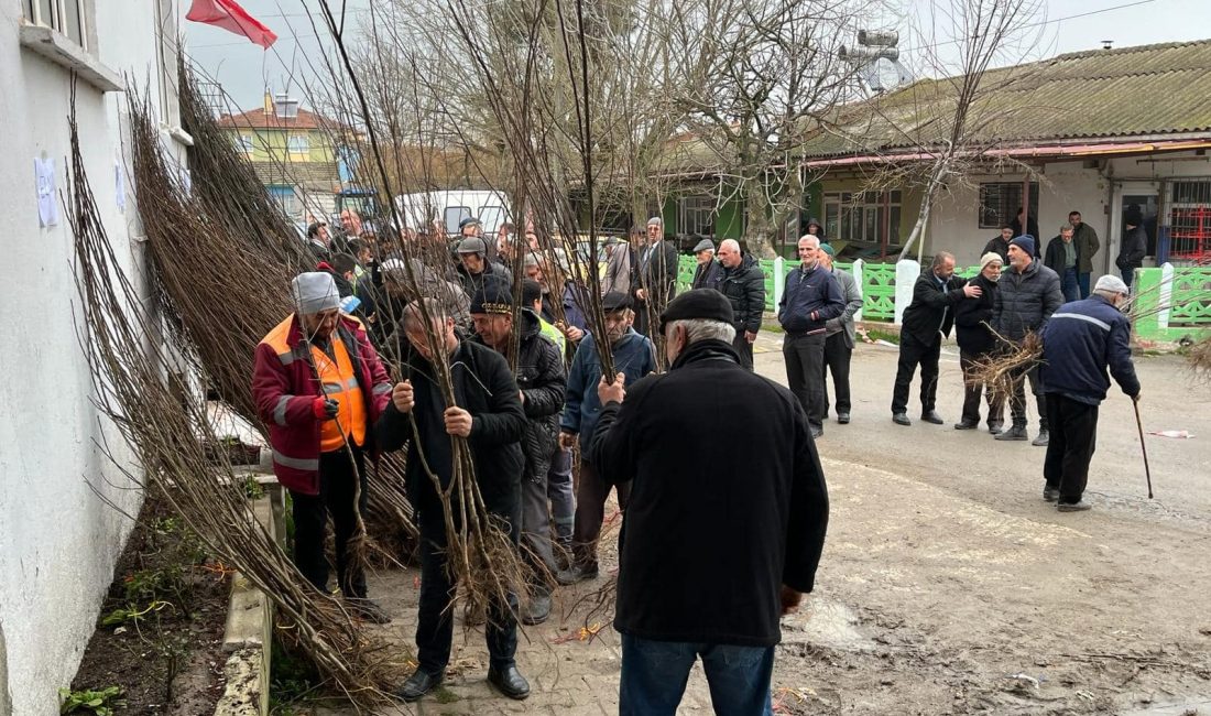 Bigadiç Belediyesi tarafından başlatılan “Dikili Fidanın Var” kampanyasında 3 mahallede
