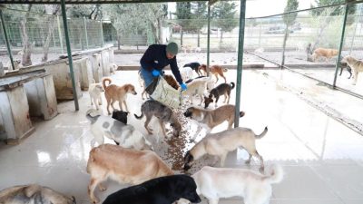 Sosyal belediyecilik anlamında en güzel örnekleri hayata geçiren Burhaniye Belediyesi,