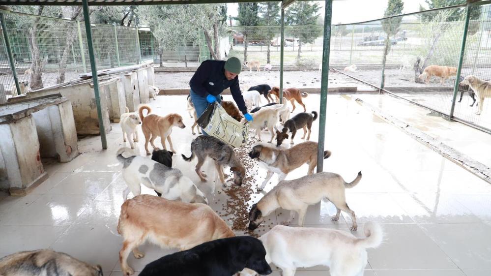 Sosyal belediyecilik anlamında en güzel örnekleri hayata geçiren Burhaniye Belediyesi,