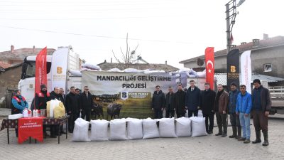 Balıkesir’in 6 bin manda varlığının yüzde 90’ını kapsayan Altıeylül ilçesinde