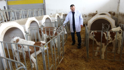 Yozgat’ta devlet desteğiyle büyükbaş hayvan çiftliği kuran serbest veteriner hekim