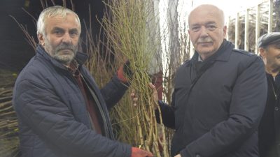 Balıkesir Büyükşehir Belediyesi tarafından Dursunbey’in üreticilerine hibeyle ceviz ve badem