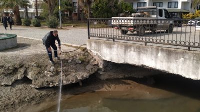 Turizmin kenti Erdek, yaz ayı hazırlıkları kapsamında haşere popülasyonuna karşı