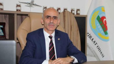 Giresun Ziraat Odası Başkanı Nurittin Karan, fındıkta kritik bir döneme