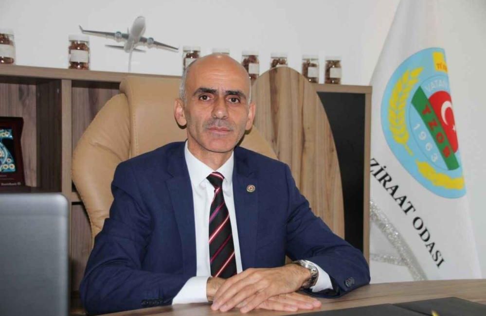 Fındık üreticisine sigorta uyarısı Giresun Ziraat Odası Başkanı Nurittin Karan, fındıkta kritik bir döneme